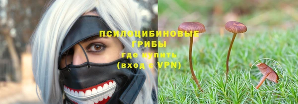 прущая мука Армянск